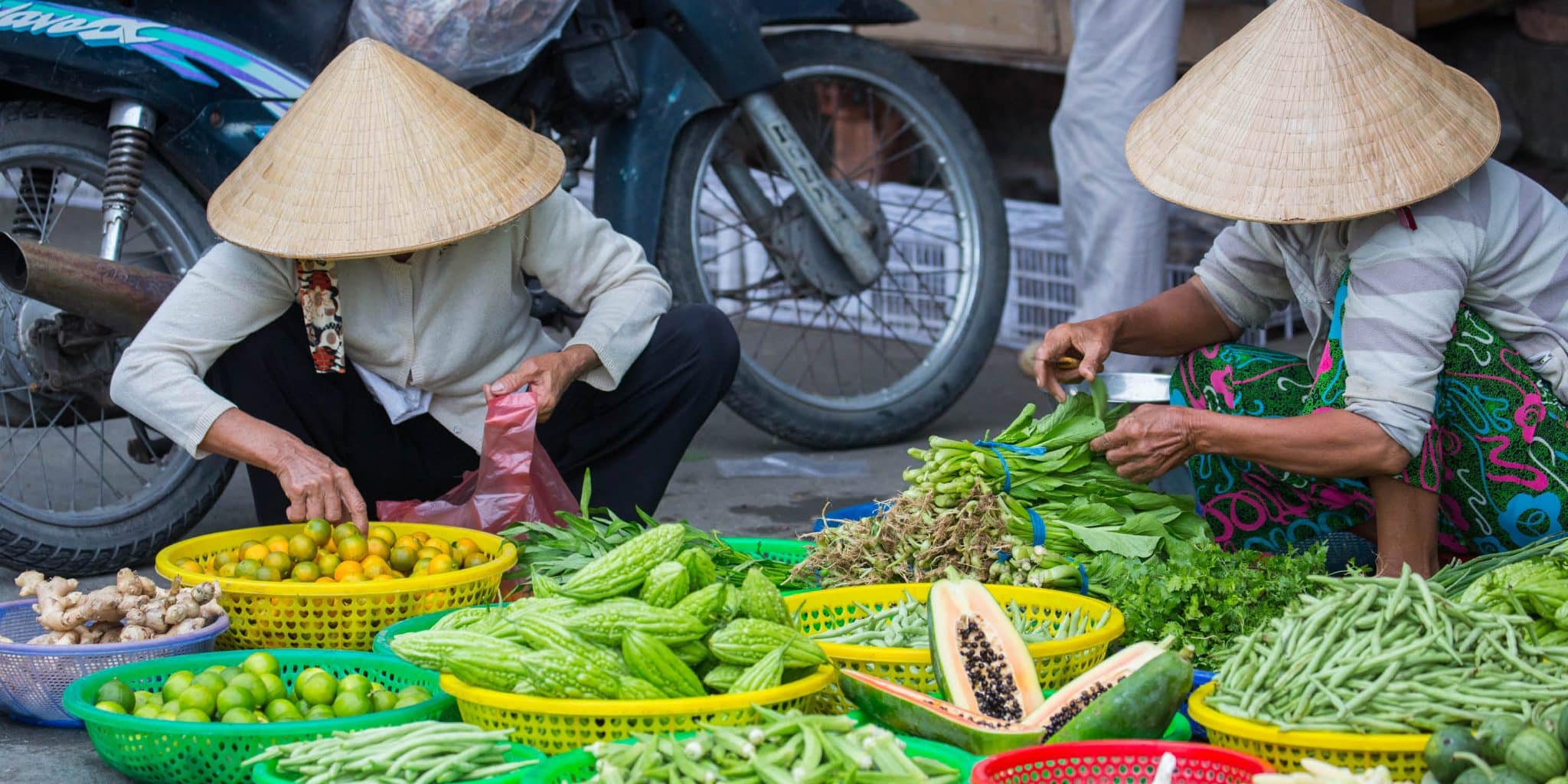 Profiles Of Vietnamese Sustainability And Resilience Future   VN Banner Gallery2 Scaled 